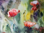 Fleurs - CoquelicotsCoquelicots - 20x30