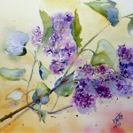 Fleurs - Lilas