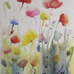 Fleurs - Coquelicots - 18x24