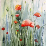 Fleurs - Coquelicots - 15x20