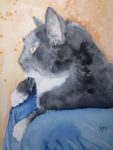 Viviane May Aquarelle - Chat (2018)